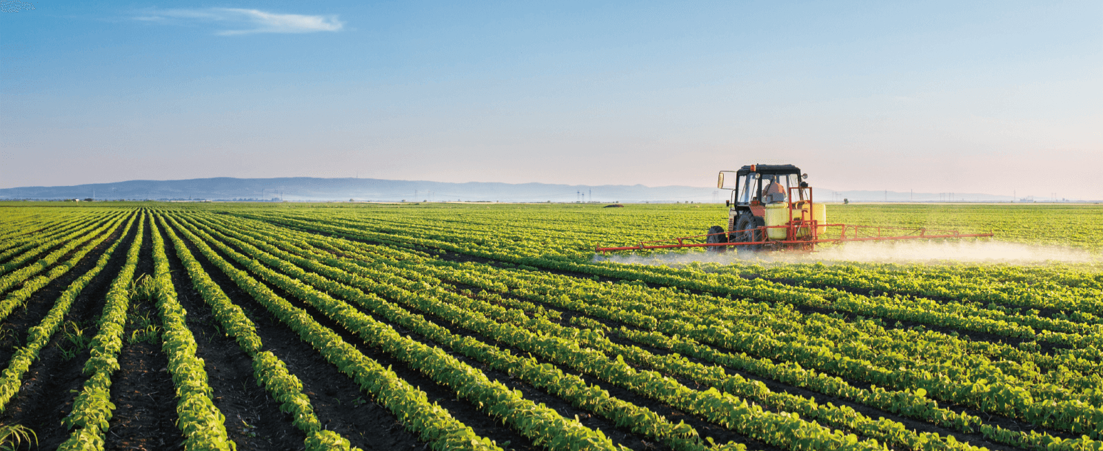 w66.利来(中国区)_来利国际旗舰厅