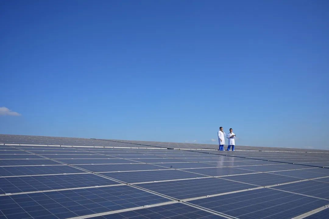 w66.利来(中国区)_来利国际旗舰厅